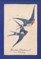 OISEAU - Hirondelles