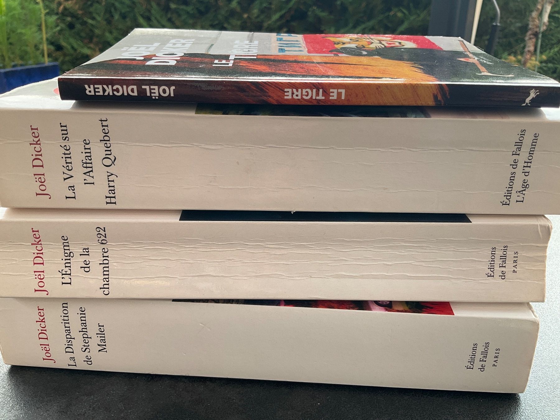 Libri: Lot de 4 romans Joël Dicker – Usato da Avenches venduto da Lactobacille 1