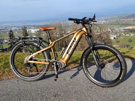 FREY HT V2 neues Modell, 1000W, 160Nm, 45 Km/h Ebike