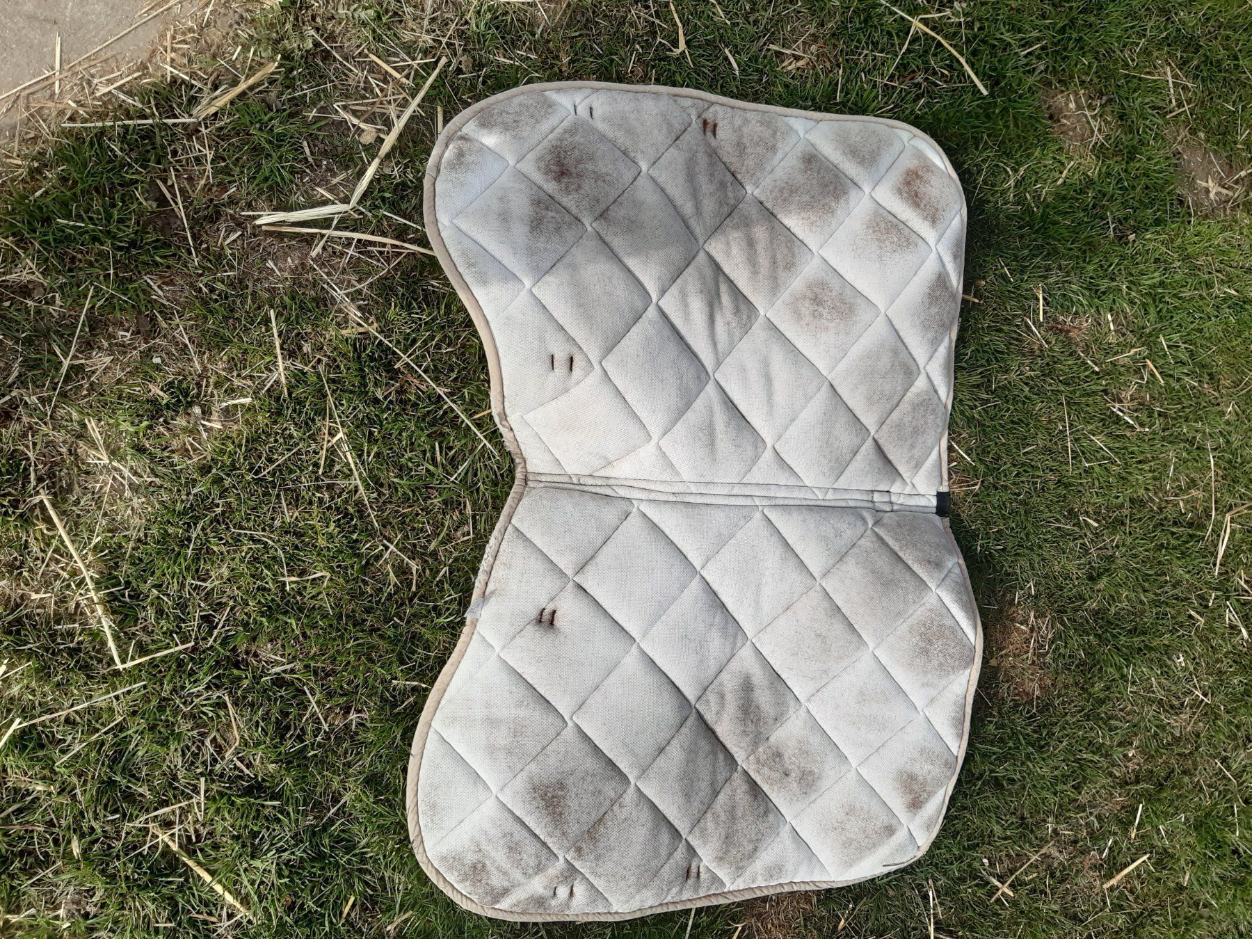 Selle & Accessori: Schabracke – Usato da Nebikon venduto da Haidihooo 3