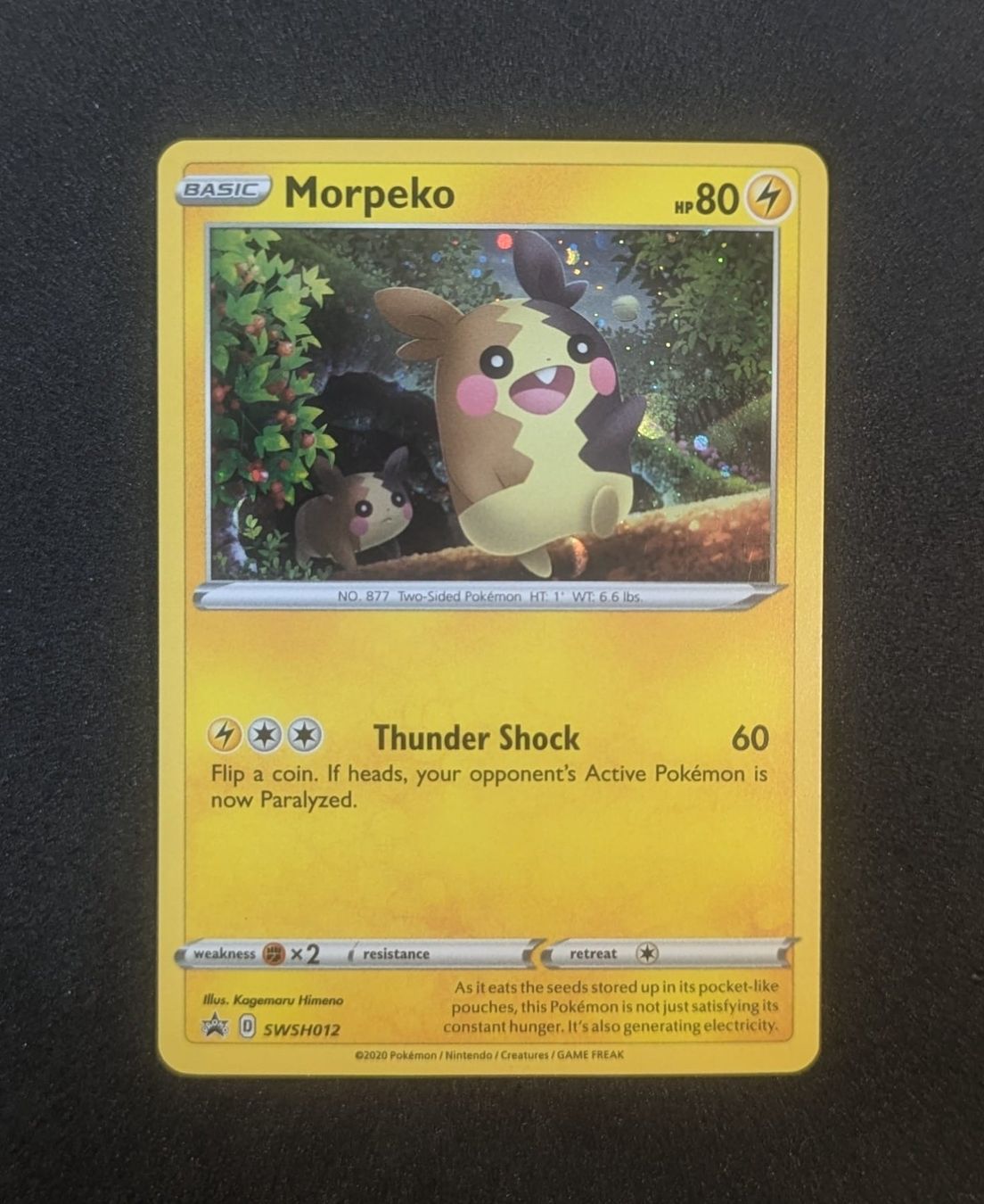 Pokémon Carte collezionabili: Morpeko Holo SWSH Promos 12 – Usato da Zürich venduto da printz7