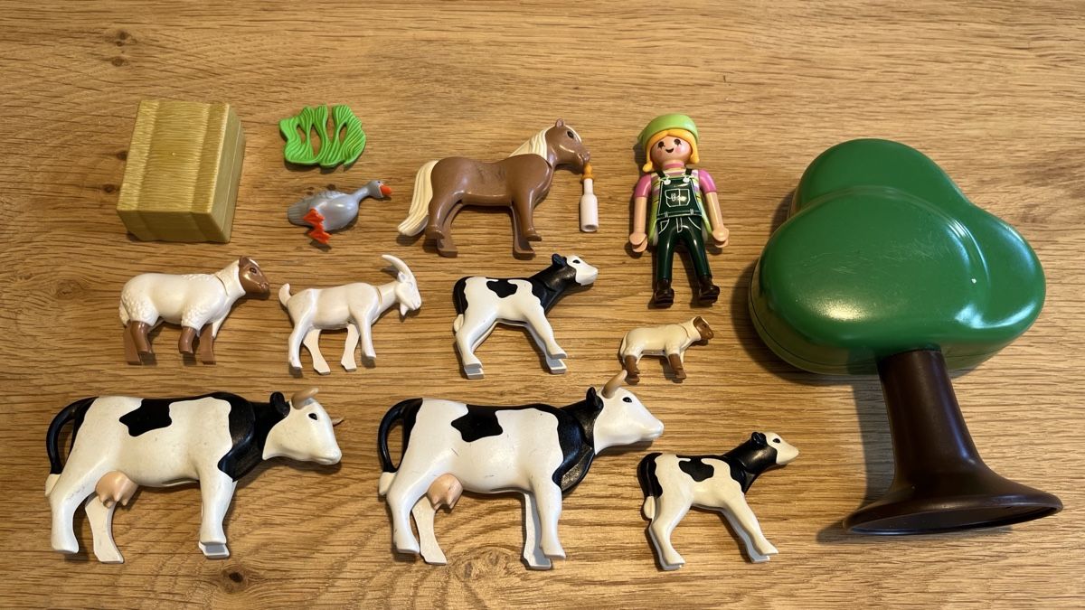 Playmobil Spielzeuge: Playmobil 9356 Special Plus – Gebraucht aus Fleurier von Carolina_11 1