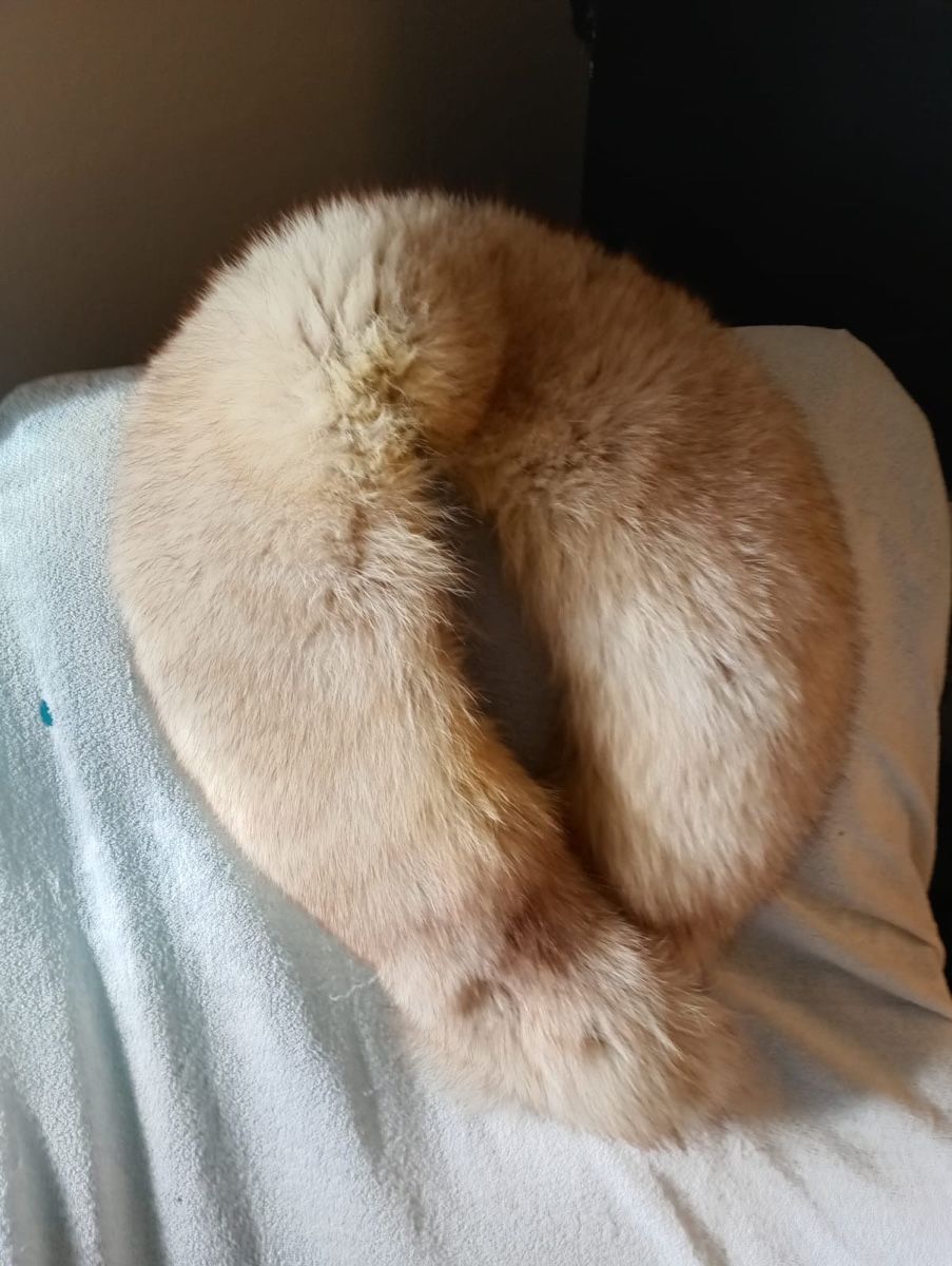 Foulard & Sciarpe: Collo di pelliccia di Volpe – Usato da Seewen SZ venduto da Orne91