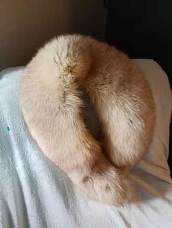 Collo di pelliccia di Volpe