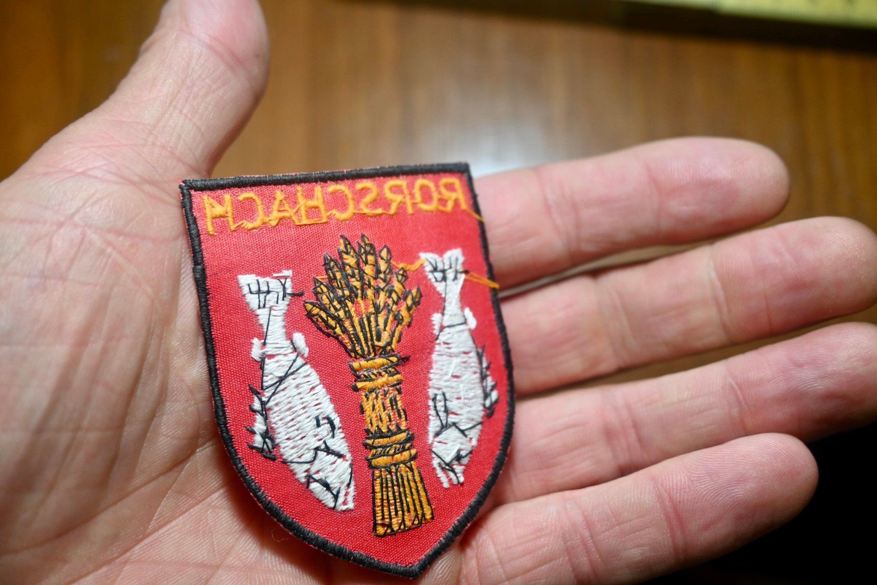 Swiss Placchette & Badge: WAPPEN  Rorschach PATCH badge AUFNÄHER wappen – Usato da Pfaffhausen venduto da mono_rec 2