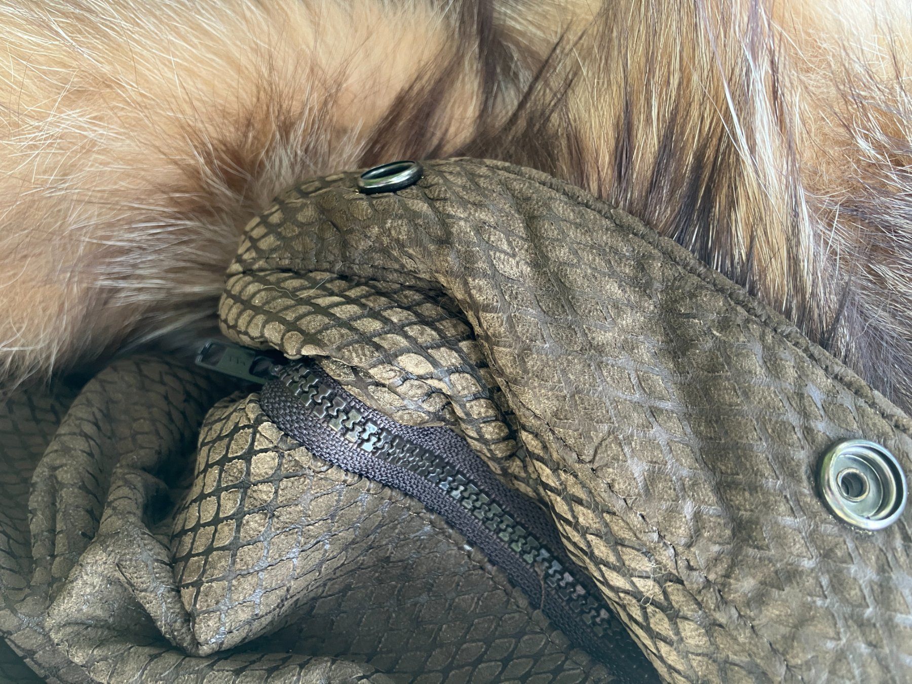 Giacche: Blouson d'exception Saga Fox transformable. Taille S/M – Nuovo (secondo la descrizione) da Chêne-Bougeries venduto da Vintage-Era 6