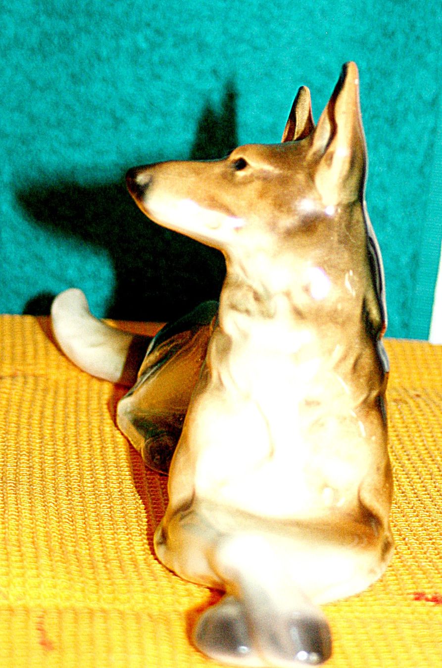 Statuette: Deutscher Schäferhund Porzellan – Usato da Baar venduto da 2cvbaar 1