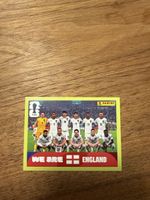 Panini Fifa ENG 13