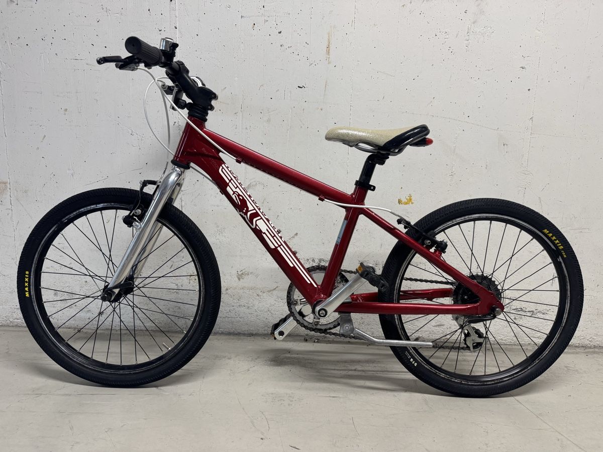 MTB Cycletech Vélos: Cycle tech 20 Zoll  – D'occasion à Widnau par Barbaros82 1