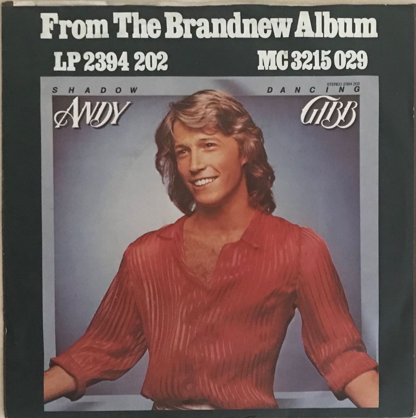 Dischi in vinile: ANDY GIBB - AN EVERLASTING LOVE – Usato da Bussigny venduto da vinyl-pas-cher 1