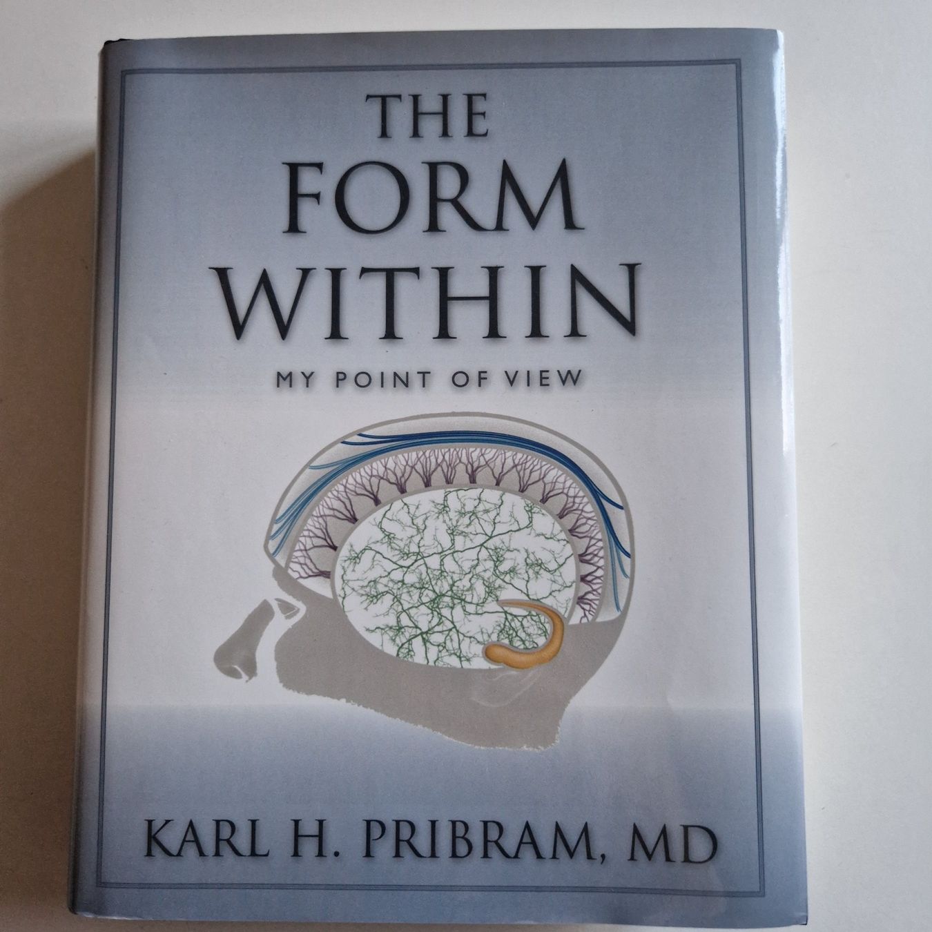 Libri: The Form Within – Nuovo (secondo la descrizione) da Rüti ZH venduto da Gigelisuppe