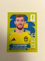 Panini SWE 17 WM2026