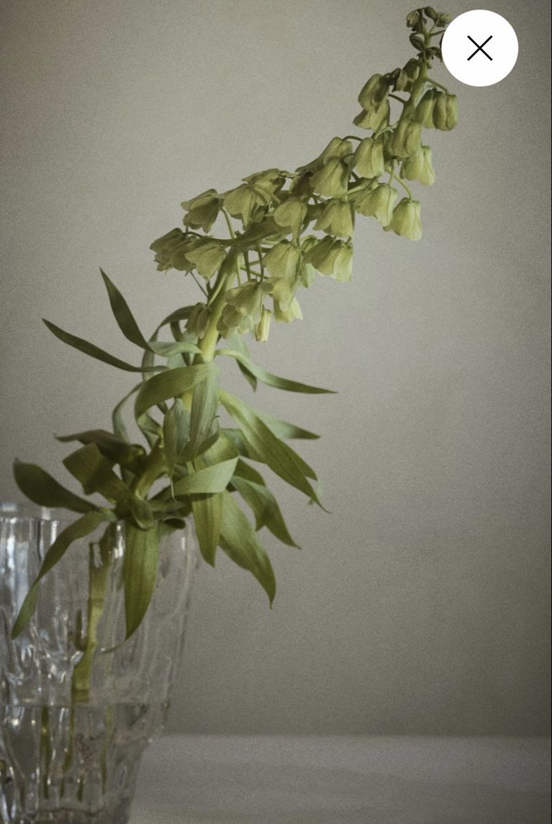 H&M Vasi & Recipienti: H&M flower vase – Nuovo e nell'imballaggio originale da Corsier GE venduto da Karol_save_planet 1