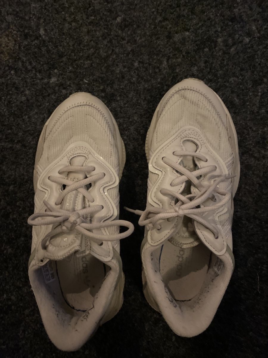 Adidas Chaussures hommes: Adidas Sneaker Gr. 38 beige – D'occasion à Rupperswil par xyzcr97