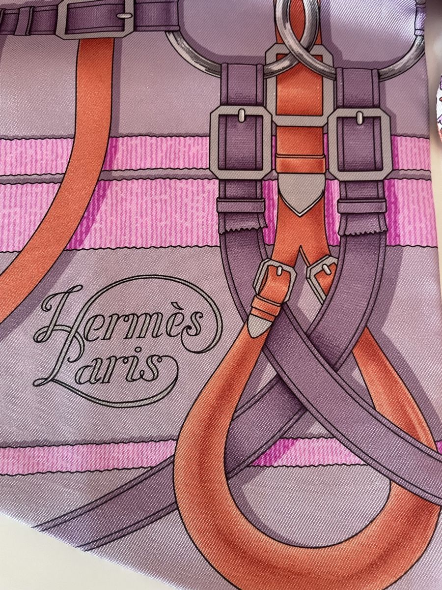 Hermès Foulard & Sciarpe: Hermès Maxi-Twilly 100% Seide – Usato da Baar venduto da mugi5813 2