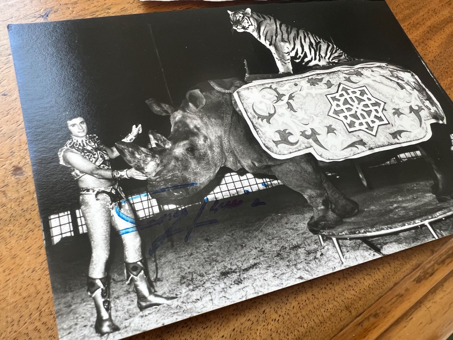 Autografi: Verschiedene Autogramme, Nr 338 – Usato da Glattfelden venduto da maa_qcj8 6