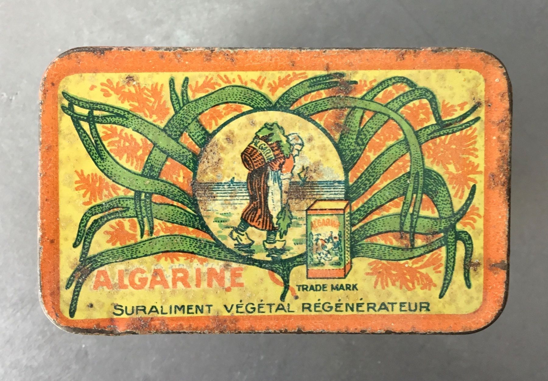 Barattoli: Blechdose Algarine, antik – Usato da Eggersriet venduto da Wiese61 6