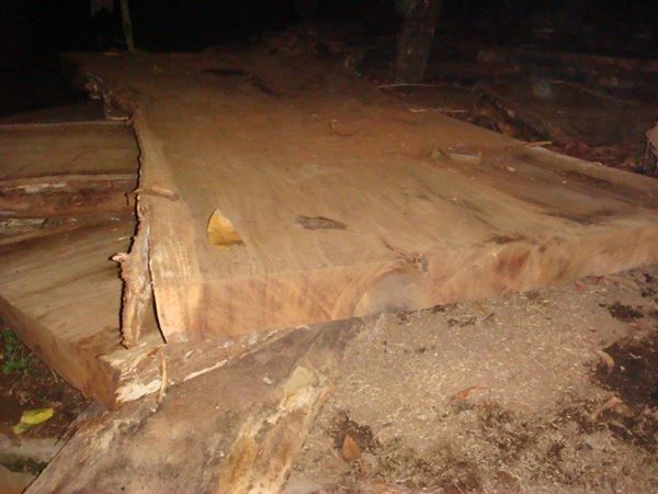 Tische: Tisch Baumscheiben Gartentisch Holztisch Baumstammtisch – Neu und originalverpackt aus Daisendorf von Wohn-Kult 4