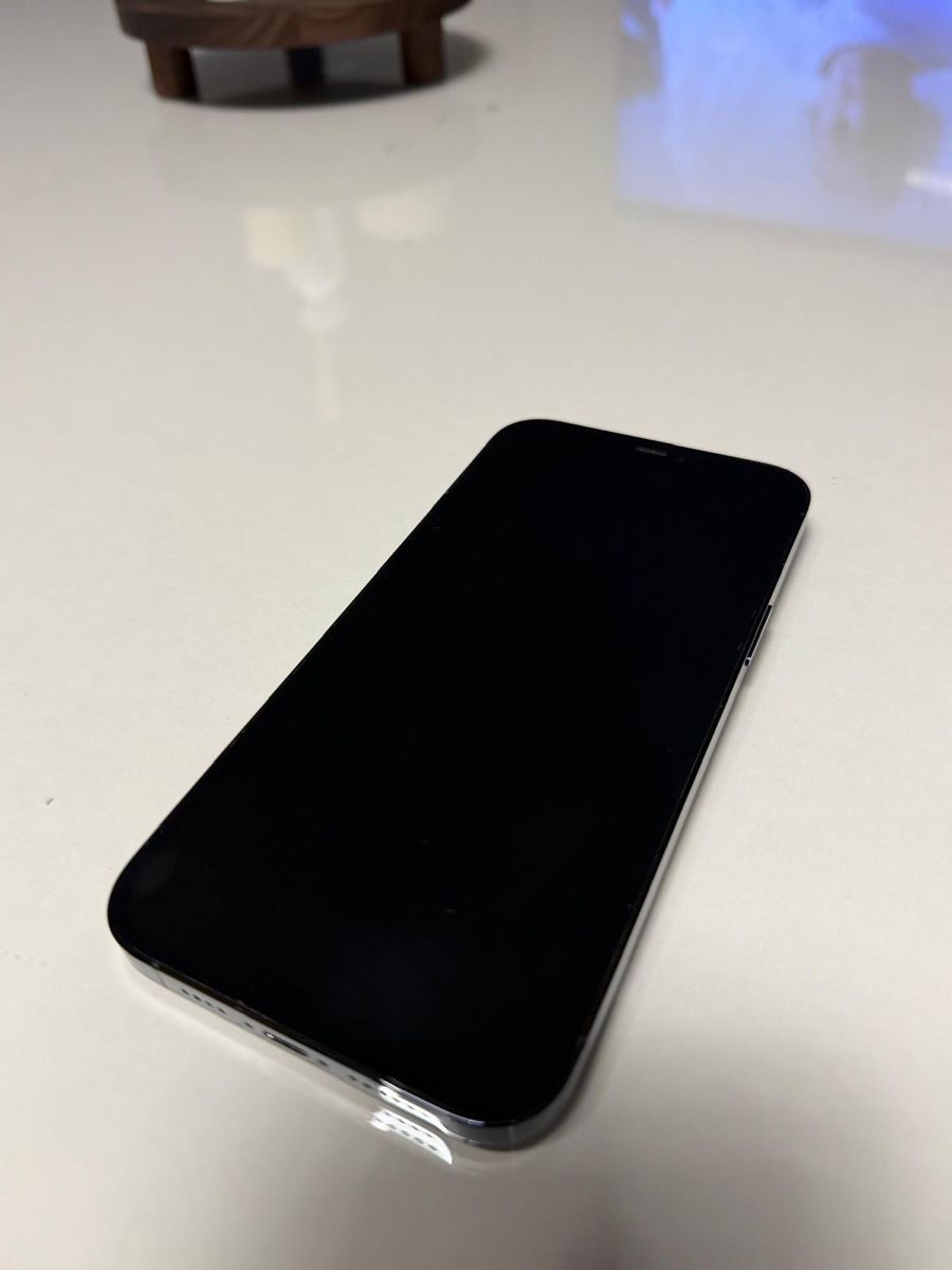Apple Telefoni cellulari / Smartphones: Apple iPhone 12 Pro Max bleu - 256GB – Usato da Ursy venduto da a_07 2