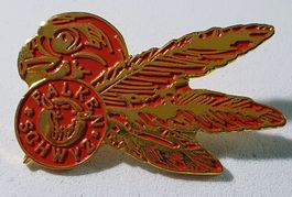AA689 - Pin Falken Schwyz / Bier?