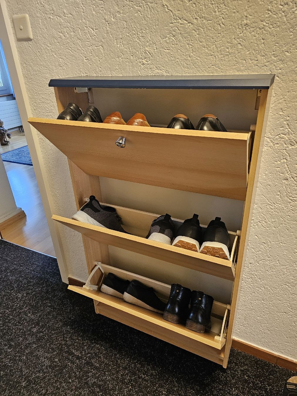 Guardaroba: Schuhschrank – Usato da Meisterschwanden venduto da Hummer21 1