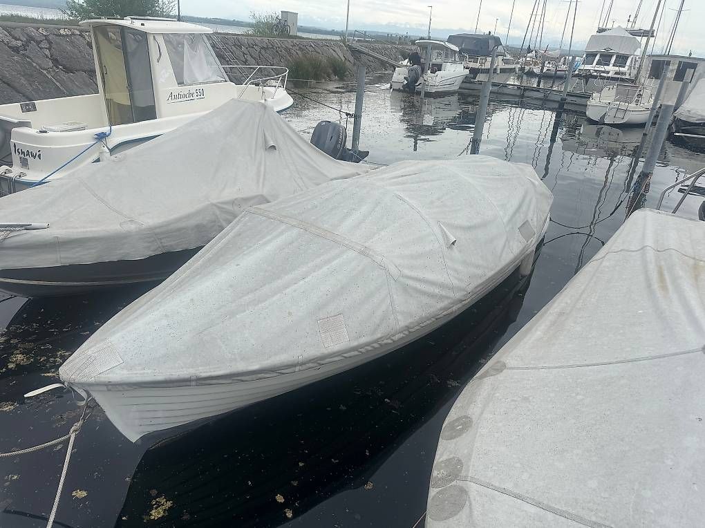Barche: Bateau 8cv 5 places – Usato da Cortaillod venduto da john83 4