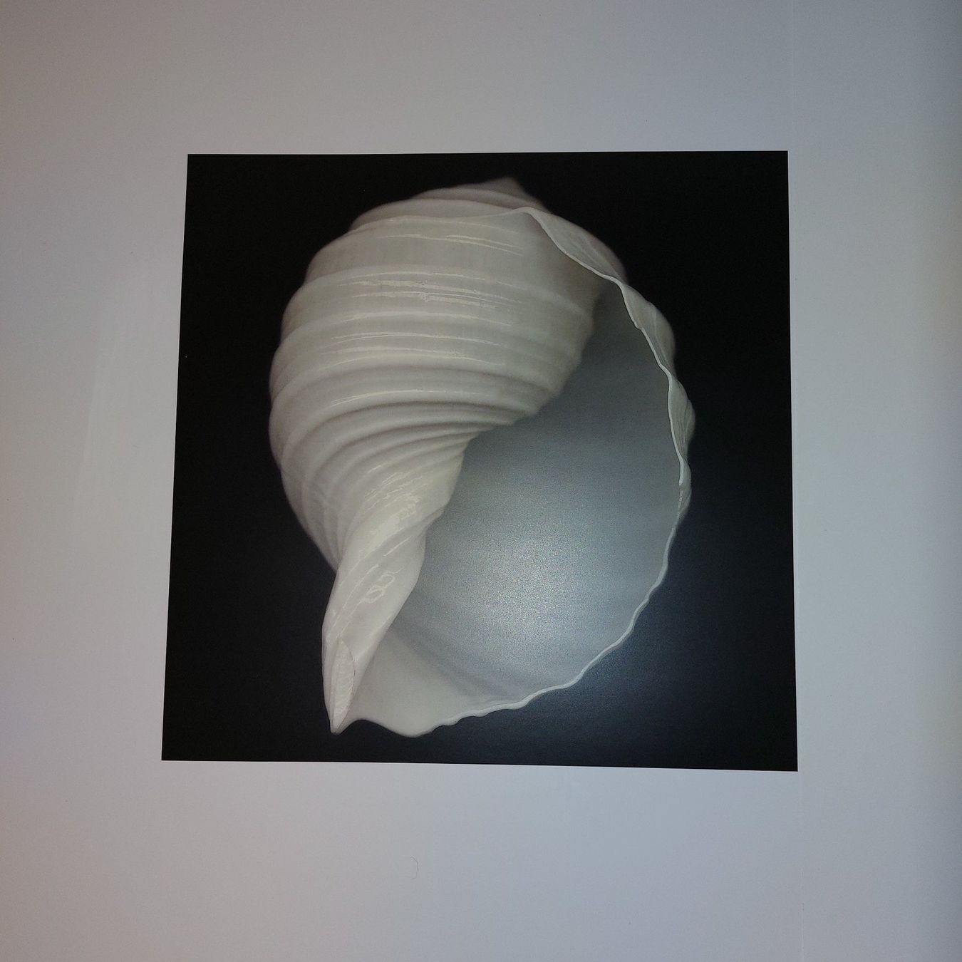 Foto & Immagini: 3 Bilder – Usato da Bellikon venduto da Anithom 2