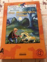 Ina Ruschinski - Das Mondschein Fohlen