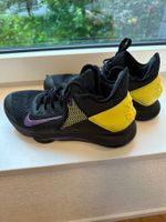 Nike Lebron Schuhe Grösse 42