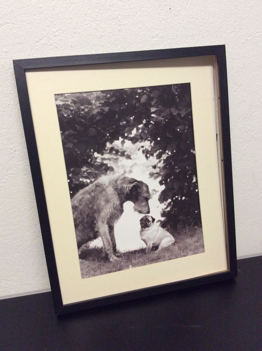 Foto & Immagini: Hunde "Smalltalk" Bild gerahmt Holz/Silber 56 x 45cm – Usato da Küsnacht ZH venduto da Vuit-on