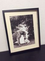 Hunde "Smalltalk" Bild gerahmt Holz/Silber 56 x 45cm