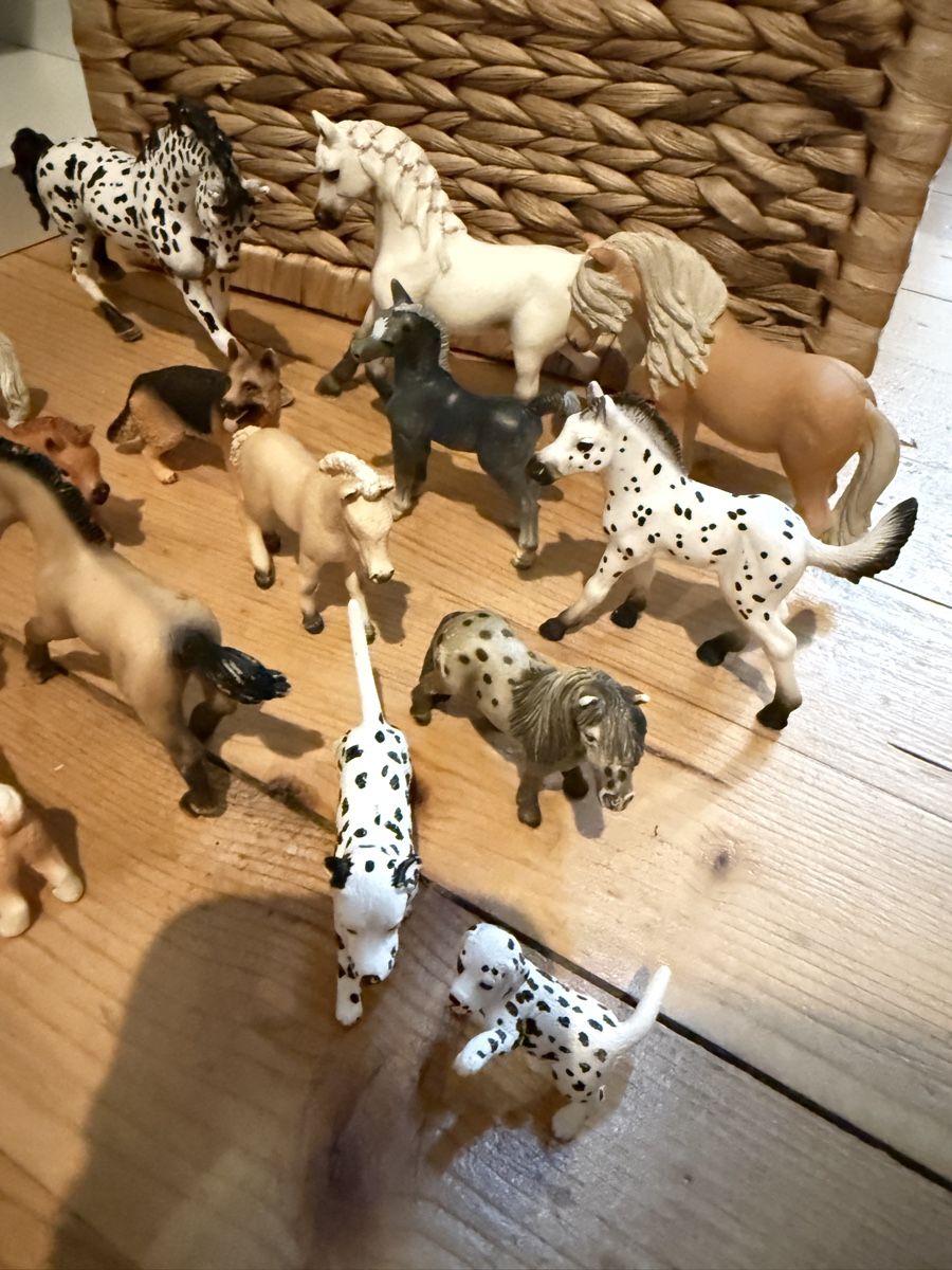 Schleich Giocattoli: Lot schleich  – Usato da Sonceboz-Sombeval venduto da Australia010