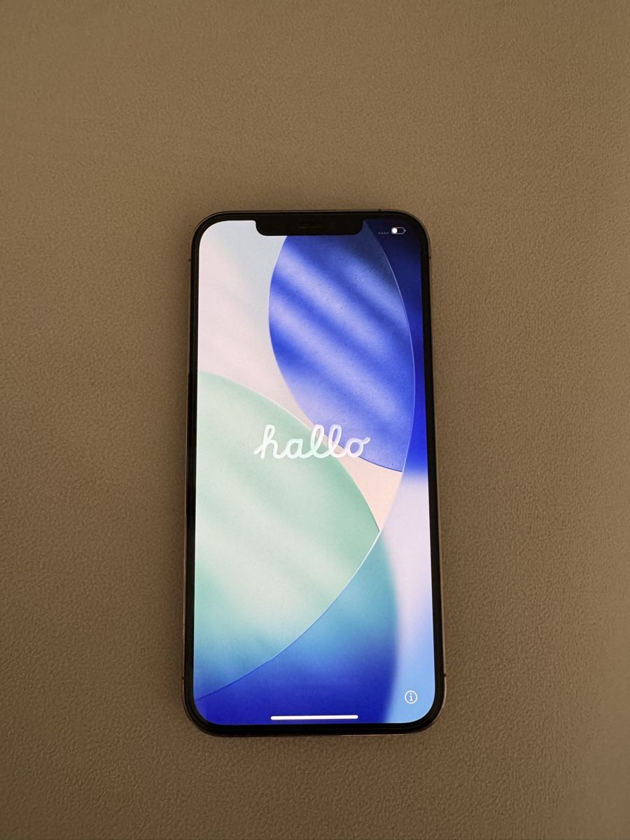 Apple Telefoni cellulari / Smartphones: iPhone 13 Pro Max 128 GB Gold – Usato da Romanshorn venduto da E.S1508
