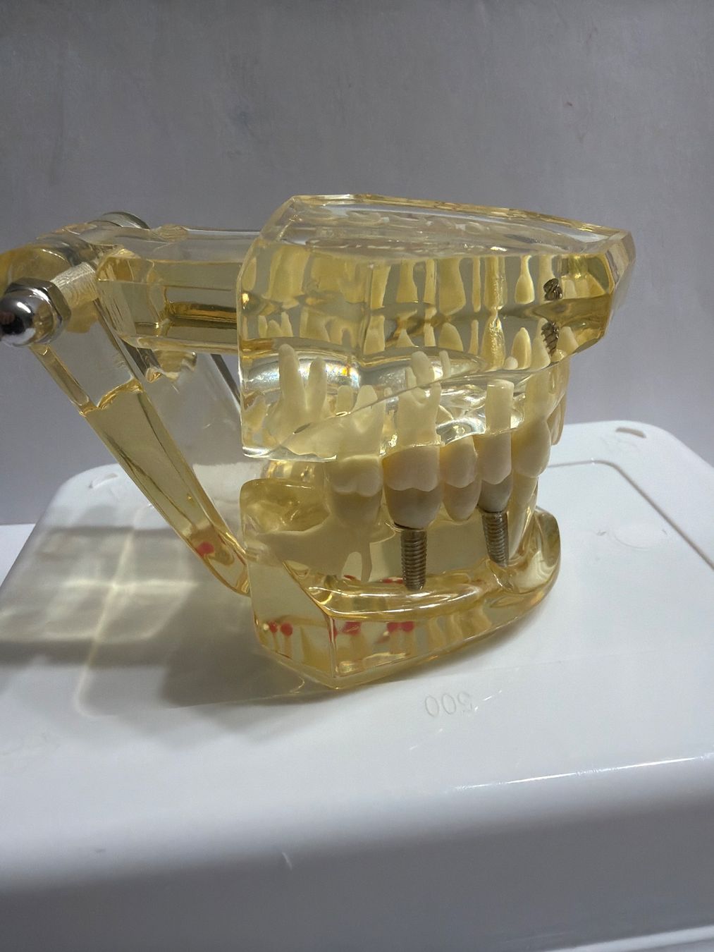Soins dentaires: KKD Studien Modell REF 9445 Zahnmodel – Neuf avec emballage d'origine à Uster par oranger_pulli 2