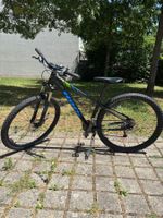 BIXS MTB 29" – frisch aufbereitet, sofort fahrbereit