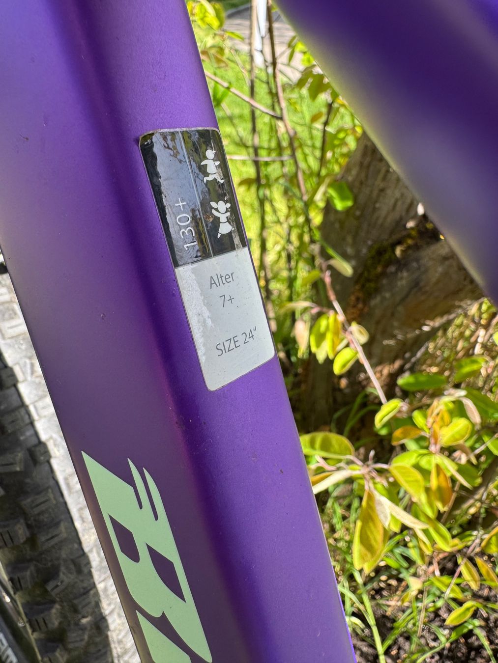 Bixs Vélos: Bixs Traction 240 X – D'occasion à Zürich par jpokri 2