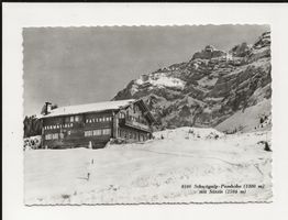 AK ca.1955  Schwägalp Passhöhe mit Säntis ⛄