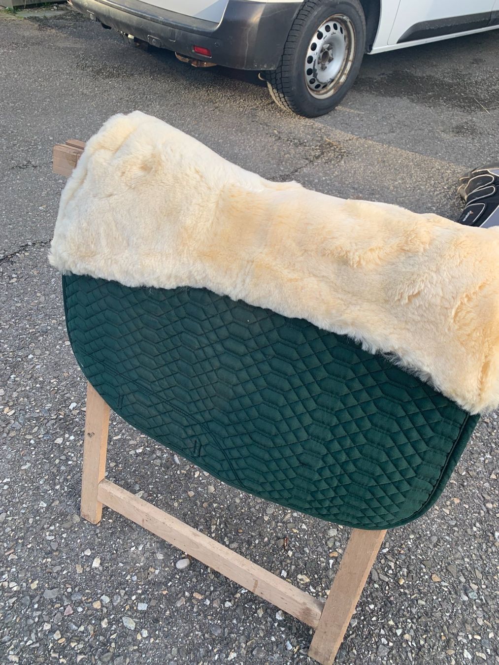 Selle & Accessori: Tapis de selle avec mouton véritable – Nuovo (secondo la descrizione) da Lamboing venduto da pet_djp8 1