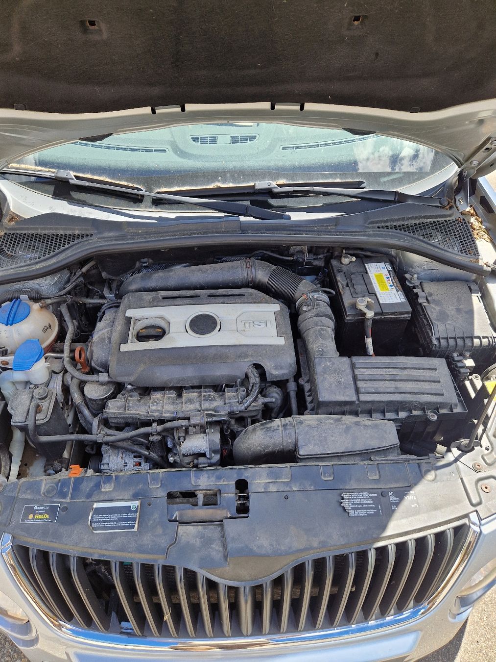 Skoda Automobili: Skoda Yeti 1.8 TSI – Usato da Brunnadern venduto da Landolt66 4