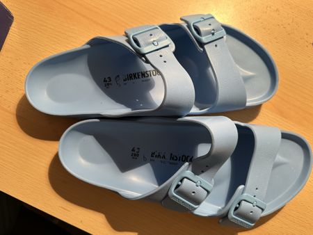 Birkenstocks 43