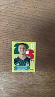 Panini Sticker Roberto Alvarado Mexikos Zustand wie neu