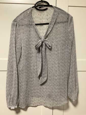 Chemisier transparent/ Bluse