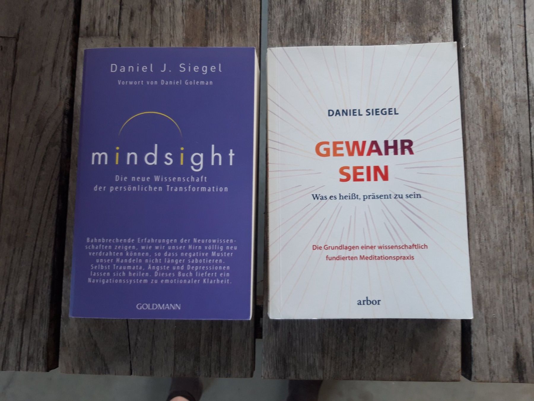 Libri: Gewahrsein und Mindsight von Daniel Siegel – Usato da Wolfhalden venduto da Honda2025
