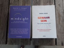 Gewahrsein und Mindsight von Daniel Siegel
