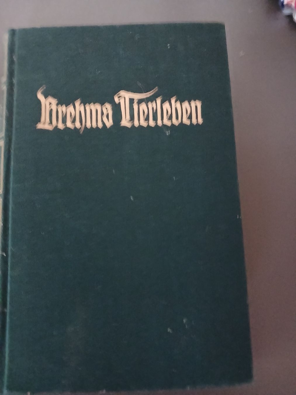 Libri: Brehms Tierleben Buch Hardcover  – Usato da Flüh venduto da Snickerin