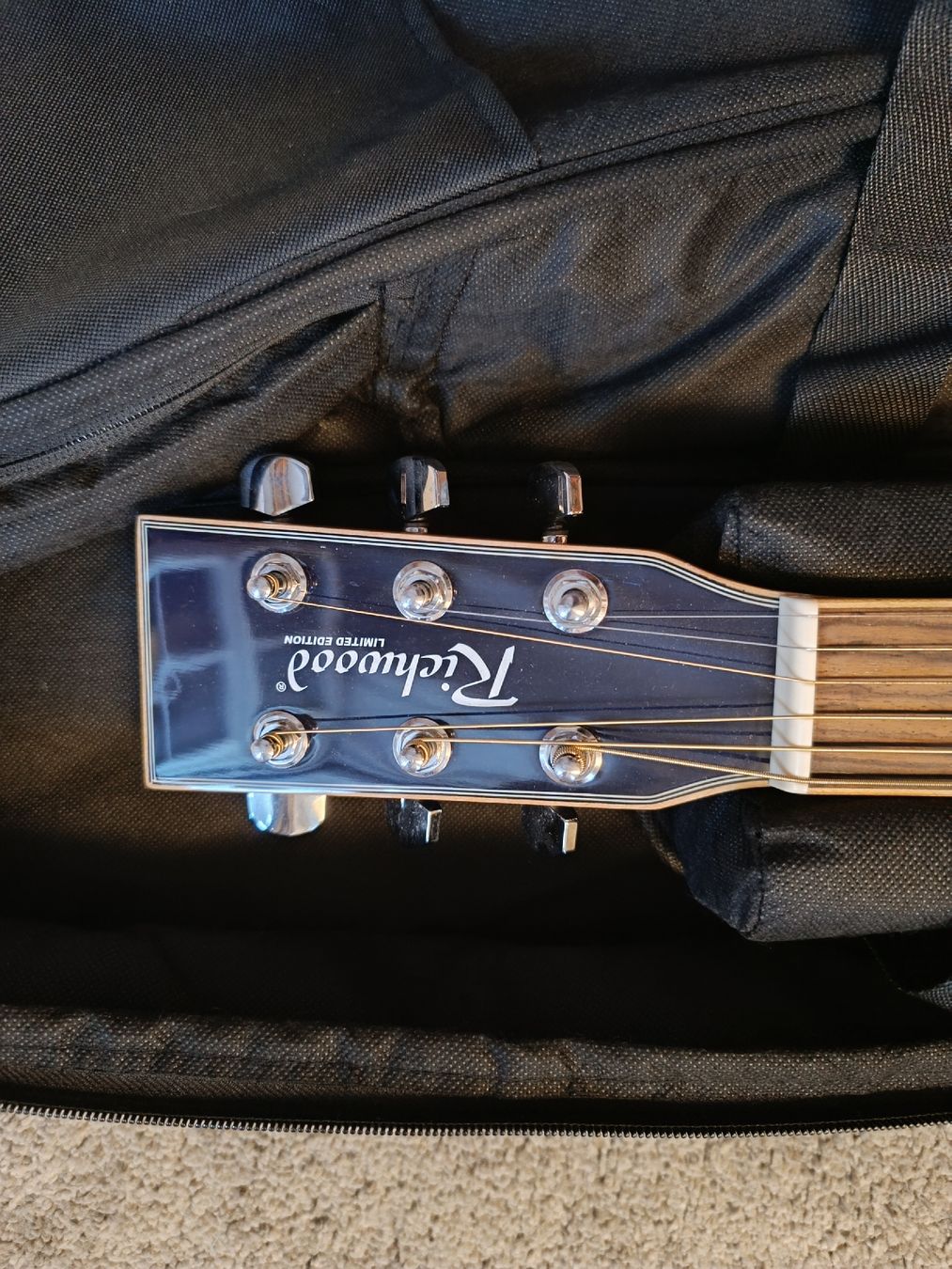 Instruments de musique: Westerngitarre Richardson  – D'occasion à tägerwilen par ma_x_ne 5