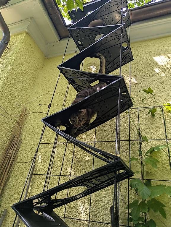 Scale: Falt-Katzenleiter neuwertig 4m – Usato da Zürich venduto da brunoruetsche