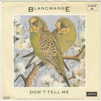 Blancmange - Don't tell me 7" Vinyl (Synthie-Pop 1984)