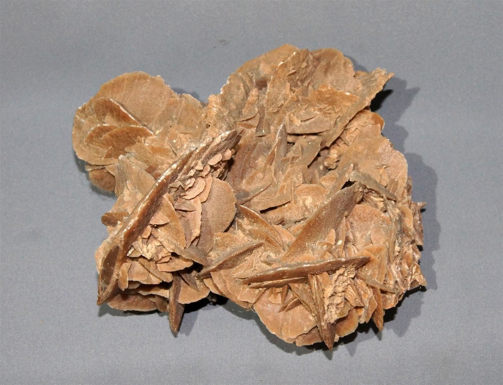 Mineralien & Heilsteine: Beeindruckende, grosse Sandrose – Gebraucht aus Geroldswil von ARTEFACTO 5