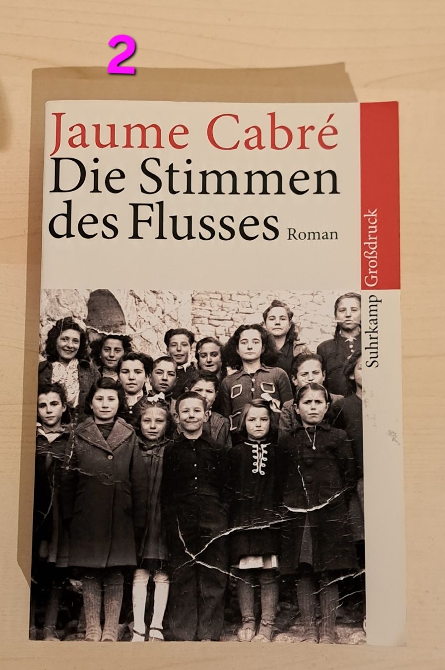 Libri: 5 Bücher in grosser Schrift – Usato da Bellikon venduto da cebas23 2